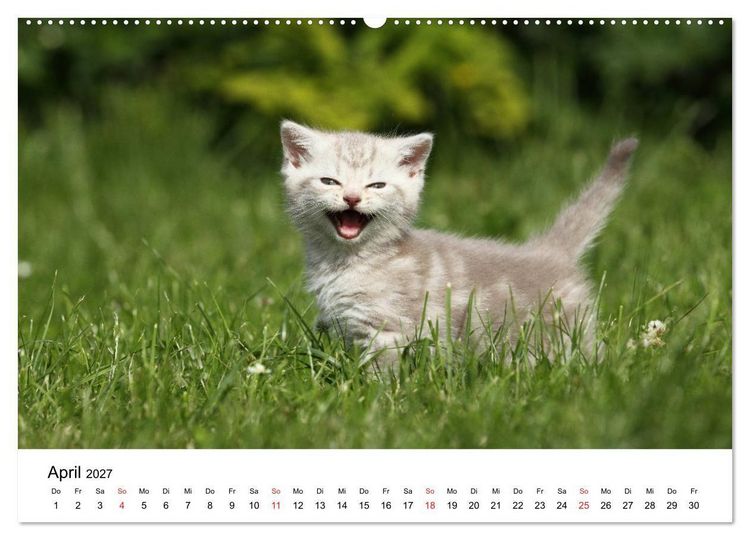 Produktbild: lach mit...just smile (hochwertiger Premium Wandkalender 2027 DIN A2 quer), Kunstdruck in Hochglanz