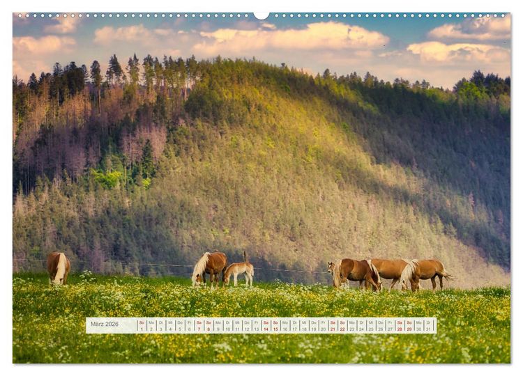 Produktbild: Die Vielfalt des Th&uuml;ringer Waldes (Wandkalender 2026 DIN A2 quer), CALVENDO Monatskalender
