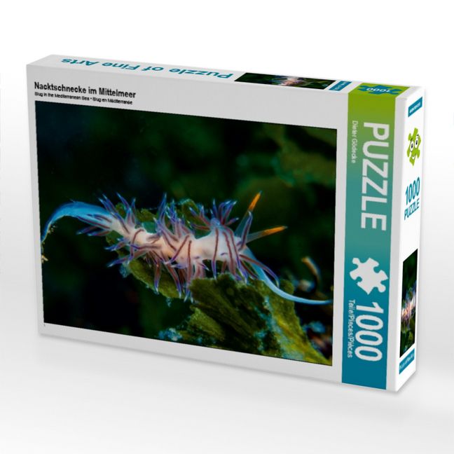 Produktbild: CALVENDO Puzzle Nacktschnecke im Mittelmeer | 1000 Teile Lege-Gr&ouml;&szlig;e 64x48cm Foto-Puzzle f&uuml;r gl&uuml;ckliche Stunden