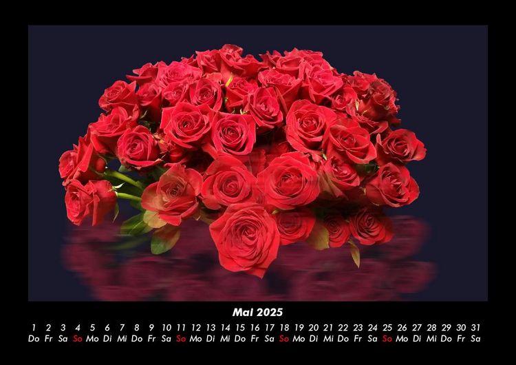 Produktbild: Rosen-Kalender 2025 Fotokalender DIN A3