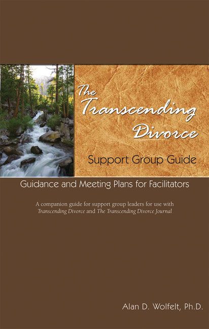 Produktbild: The Transcending Divorce Support Group Guide