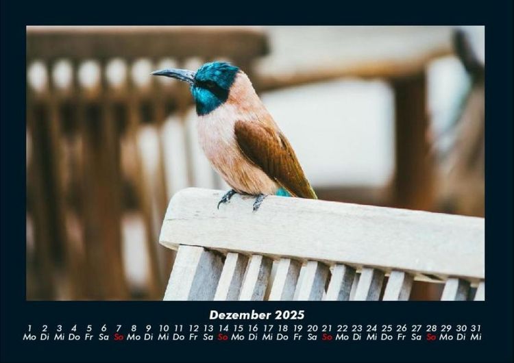 Produktbild: Tierkalender 2025 Fotokalender DIN A4