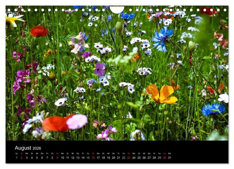 Produktbild: Winterberg - Sauerland - Eine Landschaft in Bildern (Wandkalender 2026 DIN A4 quer), CALVENDO Monatskalender