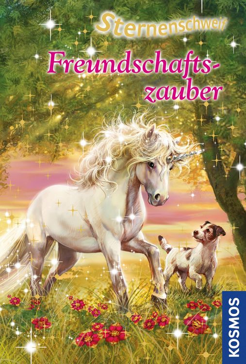 Produktbild: Sternenschweif 25. Freundschaftszauber
