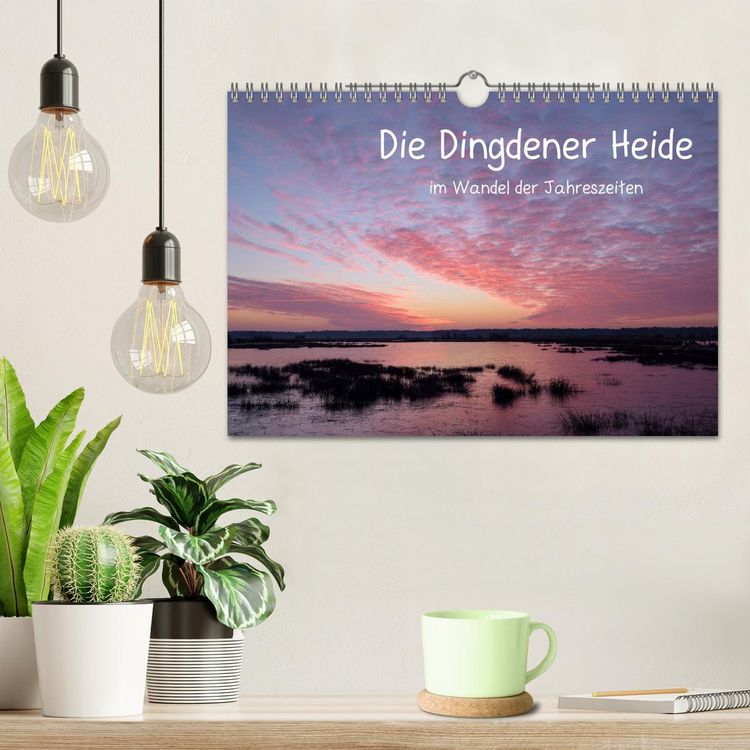 Produktbild: Die Dingdener Heide im Wandel der Jahreszeiten (Wandkalender 2026 DIN A4 quer), CALVENDO Monatskalender