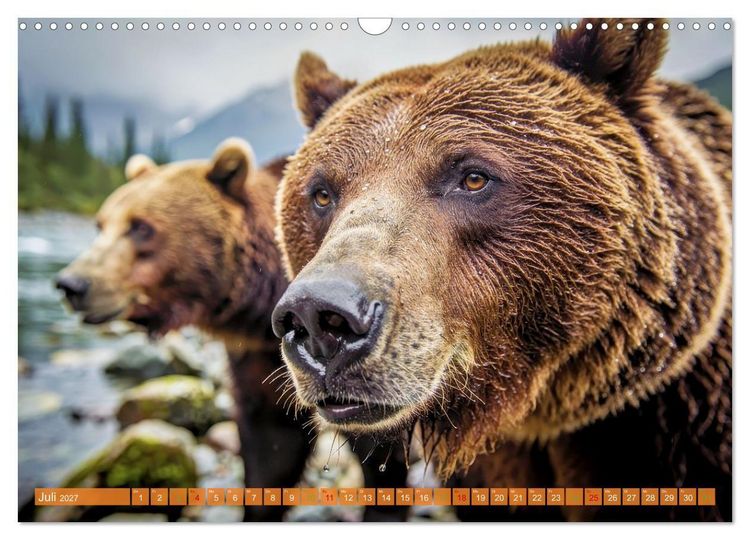 Produktbild: Elche und B&auml;ren in Alaska (Wandkalender 2027 DIN A3 quer), CALVENDO Monatskalender