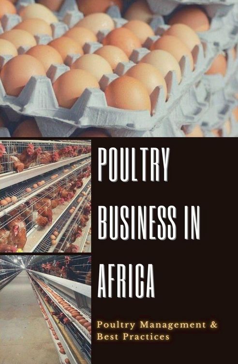 Produktbild: Poultry Business in Africa