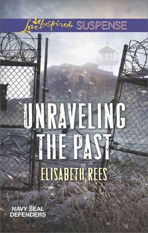 Produktbild: Unraveling the Past