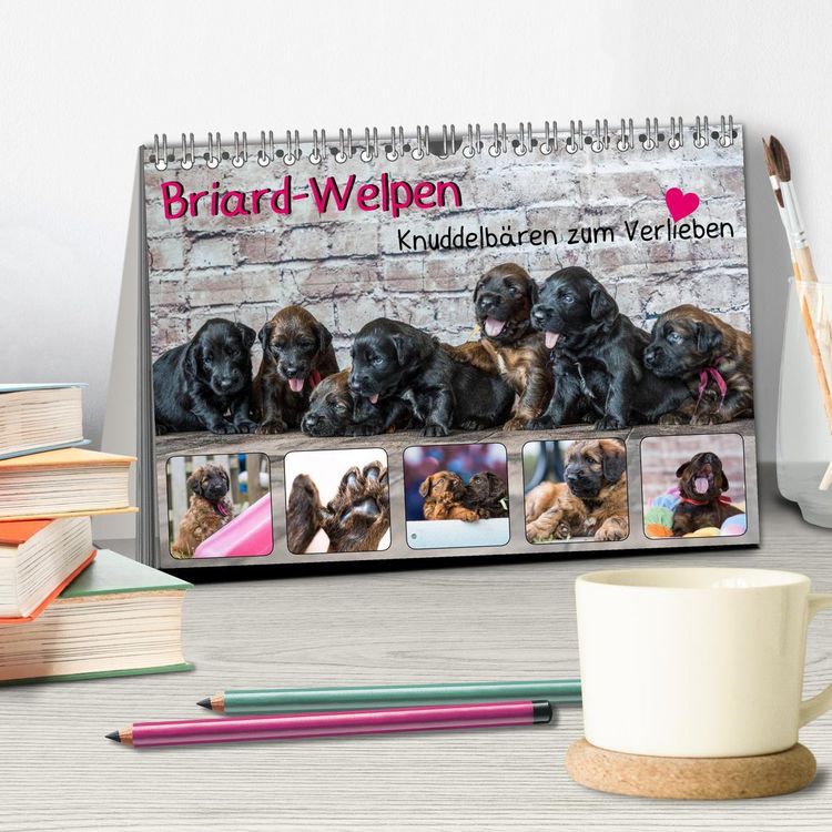 Produktbild: Briard-Welpen - Knuddelb&auml;ren zum Verlieben (Tischkalender 2026 DIN A5 quer), CALVENDO Monatskalender