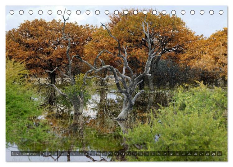 Produktbild: Namibia - Die Landschaft (Tischkalender 2026 DIN A5 quer), CALVENDO Monatskalender