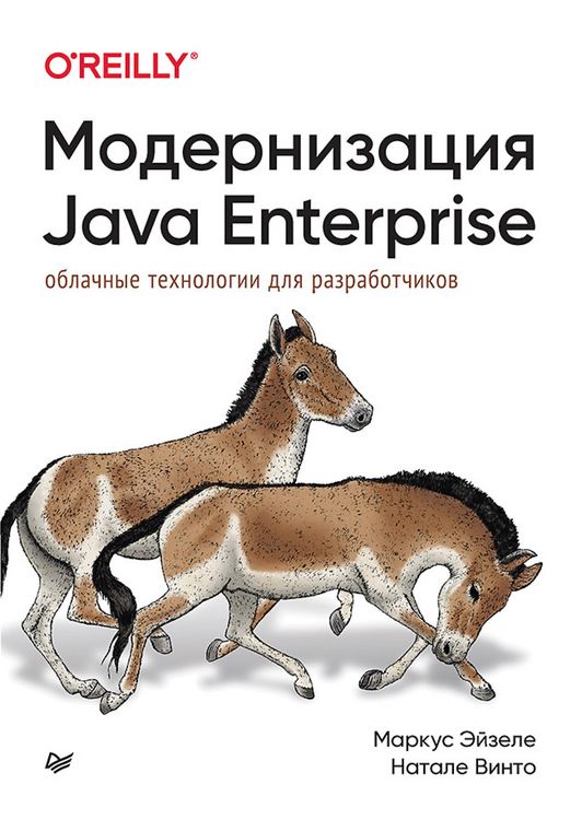 Produktbild: Modernizaciya Java Enterprise: oblachnye tekhnologii dlya razrabotchikov