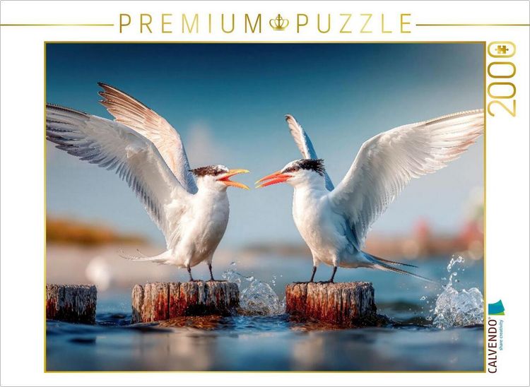 Produktbild: CALVENDO Puzzle Seeschwalbengetratsche | 2000 Teile Lege-Gr&ouml;&szlig;e 90x67cm Foto-Puzzle f&uuml;r gl&uuml;ckliche Stunden