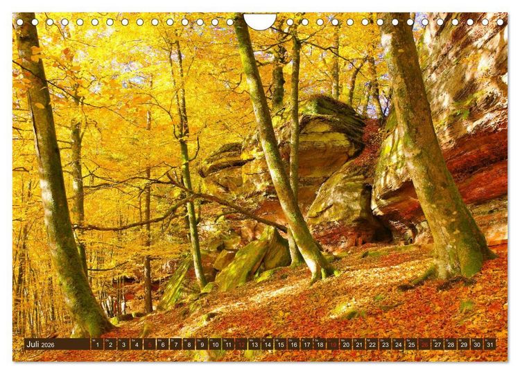 Produktbild: Der Altschlossfelsen - Gr&ouml;&szlig;te Felsformation der Pfalz im herbstlichen Farbspiel (Wandkalender 2026 DIN A4 quer), CALVENDO Monatskalender