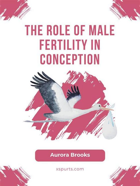 Produktbild: The Role of Male Fertility in Conception