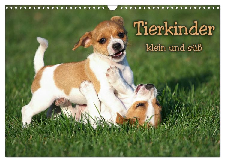 Produktbild: Tierkinder klein und s&uuml;&szlig; (Wandkalender 2026 DIN A3 quer), CALVENDO Monatskalender