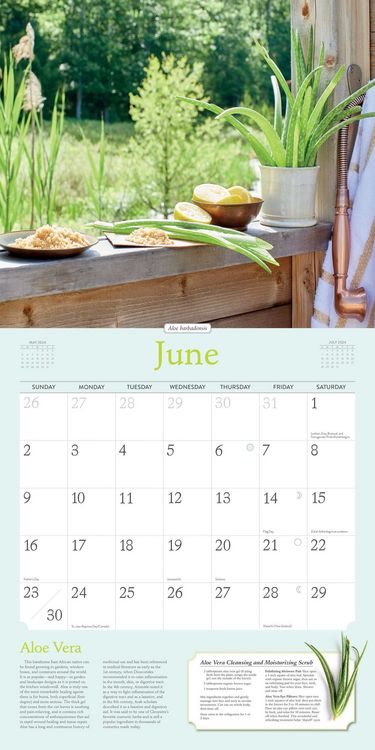 Produktbild: Gladstar, R: Rosemary Gladstar's Herbs Wall Calendar 2024