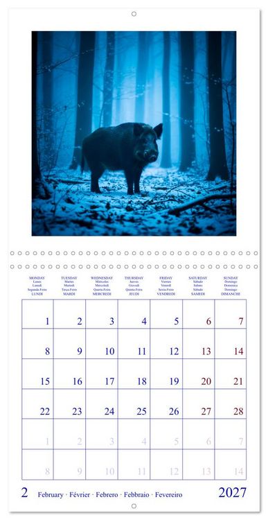 Produktbild: The Forest Fellowship (Wall Calendar 2027 12 &times; 12 Inch) CALVENDO 12 Month Wall Calendar