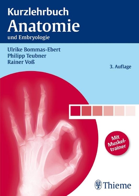 Produktbild: Kurzlehrbuch Anatomie