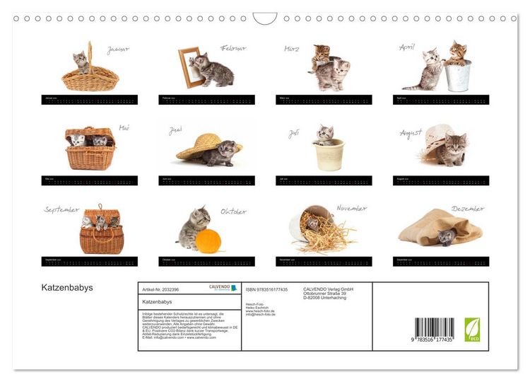 Produktbild: Katzenbabys (Wandkalender 2026 DIN A3 quer), CALVENDO Monatskalender