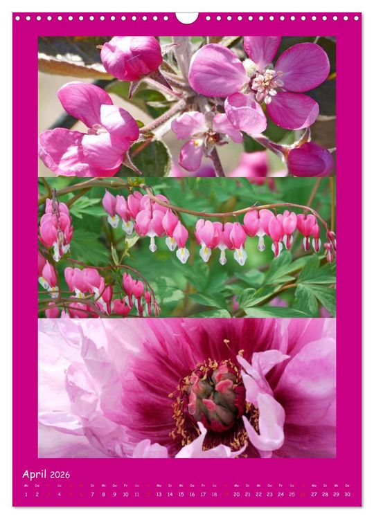 Produktbild: Natur im Farbenrausch (Wandkalender 2026 DIN A3 hoch), CALVENDO Monatskalender