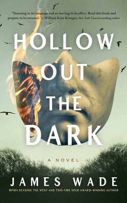 Produktbild: Hollow Out the Dark