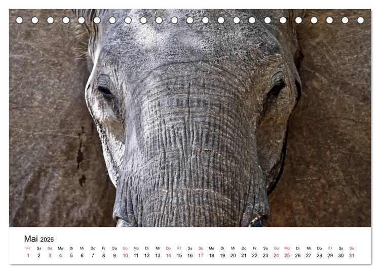 Produktbild: Namibias Elefanten (Tischkalender 2026 DIN A5 quer), CALVENDO Monatskalender