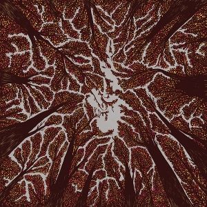 Produktbild: Crown Shyness