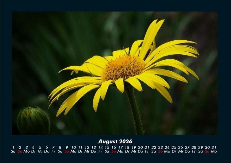 Produktbild: Blumentr&auml;ume 2026 Fotokalender DIN A4