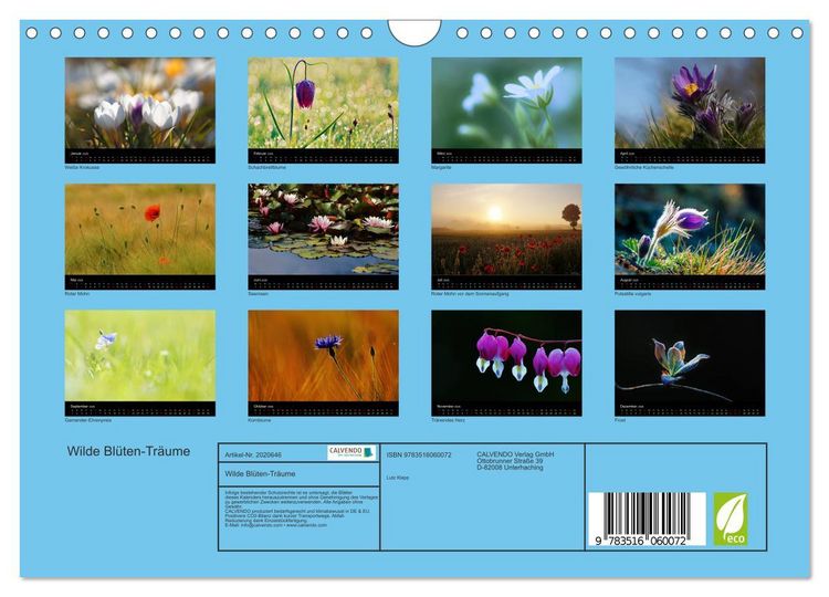 Produktbild: Wilde Bl&uuml;ten-Tr&auml;ume (Wandkalender 2026 DIN A4 quer), CALVENDO Monatskalender