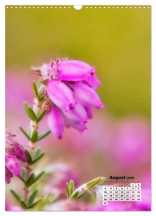 Produktbild: Spa&szlig; mit bunten Bl&uuml;mchen (Wandkalender 2026 DIN A3 hoch), CALVENDO Monatskalender
