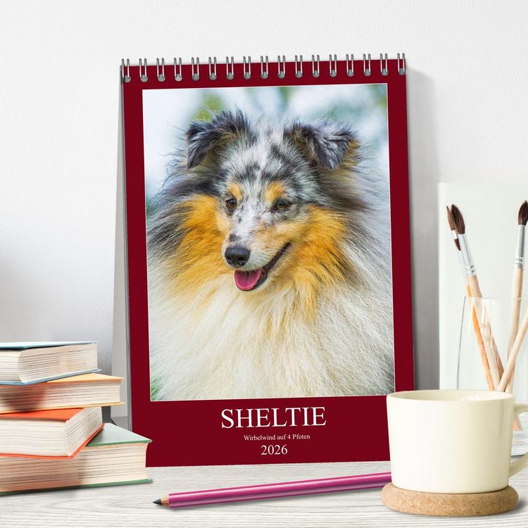 Produktbild: Sheltie - Wirbelwind auf 4 Pfoten (Tischkalender 2026 DIN A5 hoch), CALVENDO Monatskalender
