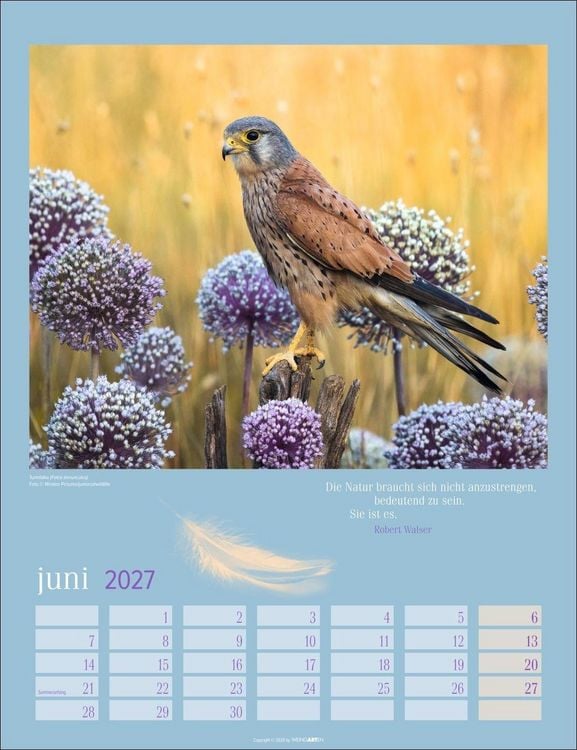 Produktbild: Heimische V&ouml;gel Kalender 2027
