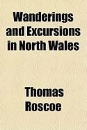 Produktbild: Wanderings and Excursions in North Wales