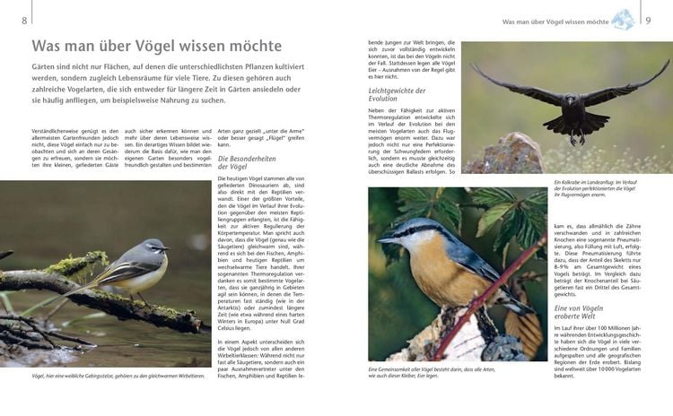 Produktbild: V&ouml;gel zu Gast im Garten - Heimische V&ouml;gel beobachten, bestimmen, sch&uuml;tzen.