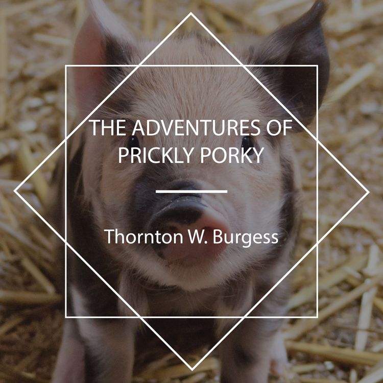 Produktbild: The Adventures of Prickly Porky