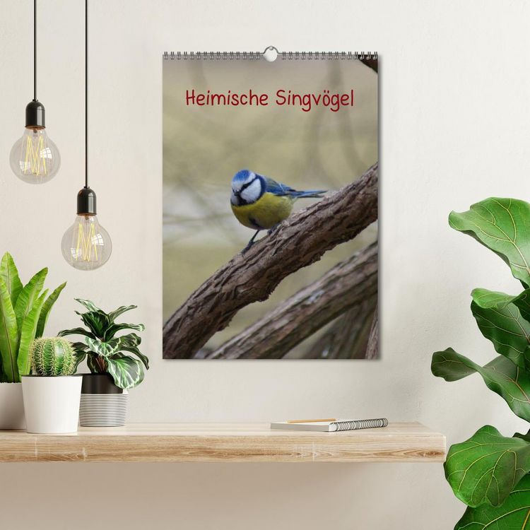 Produktbild: Heimische Singv&ouml;gel (Wandkalender 2026 DIN A3 hoch), CALVENDO Monatskalender