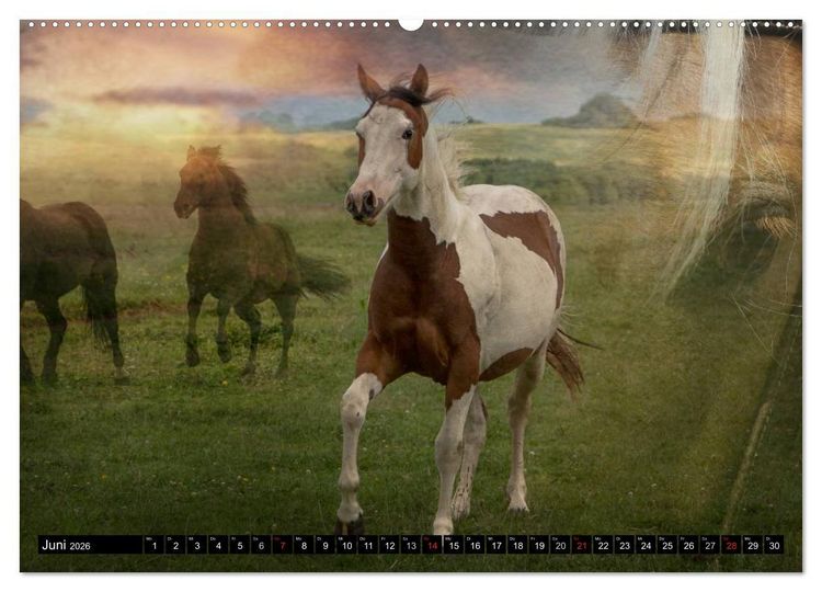 Produktbild: Western-Feeling (hochwertiger Premium Wandkalender 2026 DIN A2 quer), Kunstdruck in Hochglanz