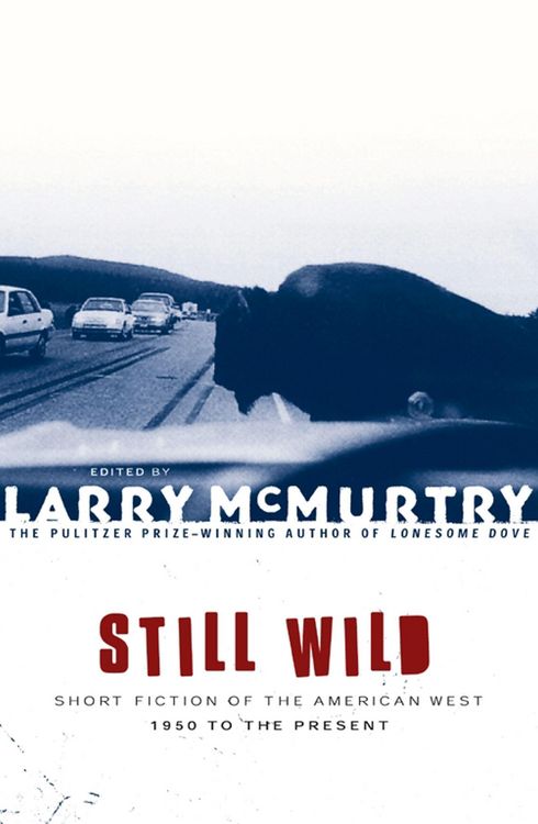 Produktbild: Still Wild
