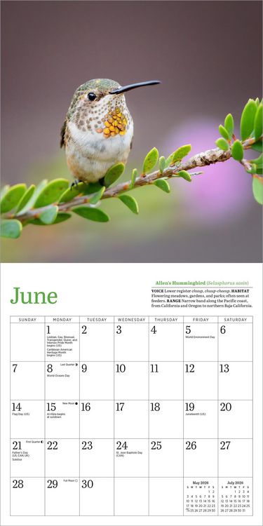 Produktbild: Audubon Hummingbirds Mini Wall Calendar 2026