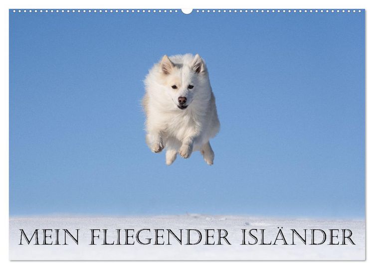 Produktbild: Mein fliegender Isl&auml;nder (Wandkalender 2026 DIN A2 quer), CALVENDO Monatskalender