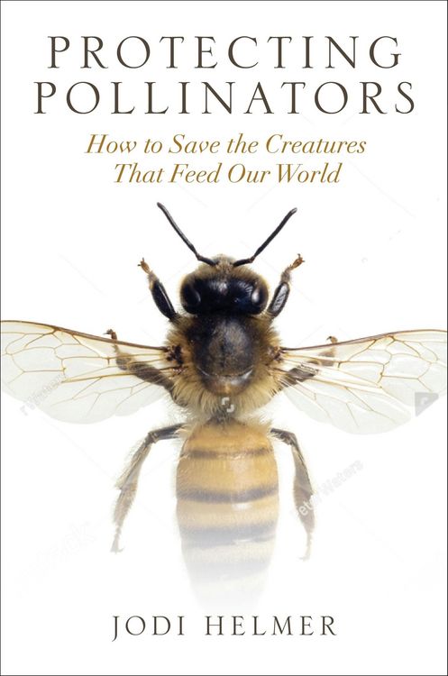 Produktbild: Protecting Pollinators
