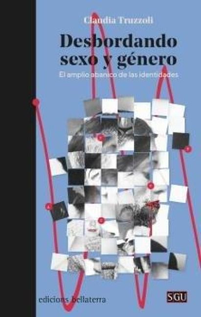 Produktbild: Desbordando sexo y g&eacute;nero : el amplio abanico de las identidades