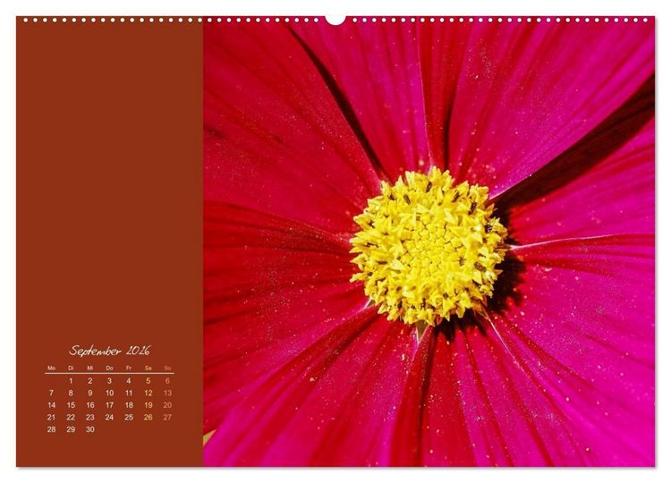 Produktbild: Bl&uuml;tenstil (Wandkalender 2026 DIN A2 quer), CALVENDO Monatskalender