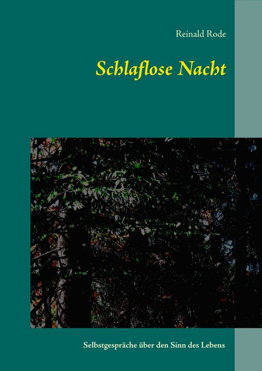 Produktbild: Schlaflose Nacht