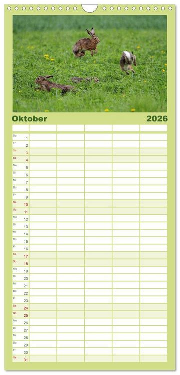 Produktbild: Familienplaner 2026 - Feldhasen in H&ouml;chstform mit 5 Spalten (Wandkalender, 21 x 45 cm) CALVENDO
