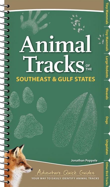Produktbild: Animal Tracks of the Southeast & Gulf States