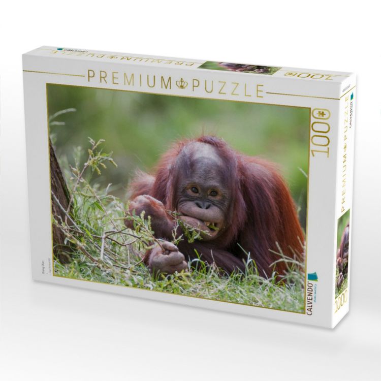 Produktbild: CALVENDO Puzzle Orang Utan | 1000 Teile Lege-Gr&ouml;&szlig;e 64x48cm Foto-Puzzle f&uuml;r gl&uuml;ckliche Stunden