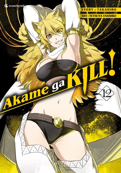 Produktbild: Akame ga KILL! &ndash; Band 12
