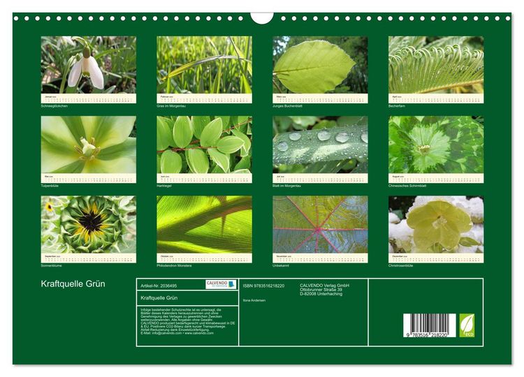 Produktbild: Kraftquelle Gr&uuml;n (Wandkalender 2026 DIN A3 quer), CALVENDO Monatskalender