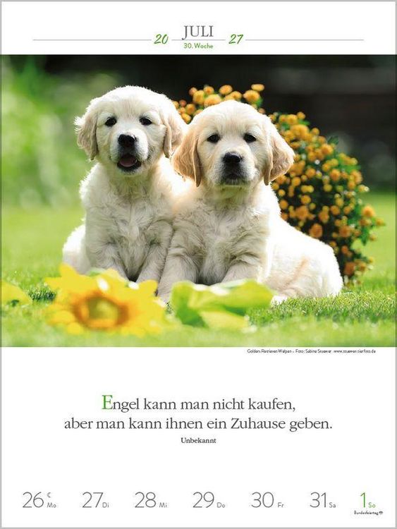 Produktbild: Literaturkalender Hunde 2027